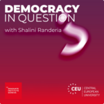 Democracy in Question logo